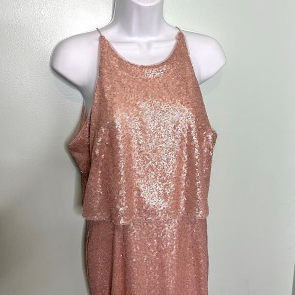 Adrianna Papell Blush Sequin Popover Sleeveless Maxi Gown 6 - Picture 11 of 11